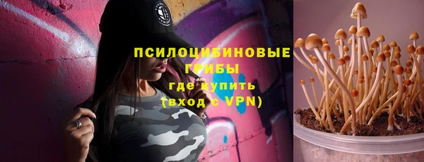 2c-b Алзамай