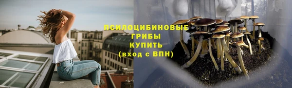 2c-b Алзамай