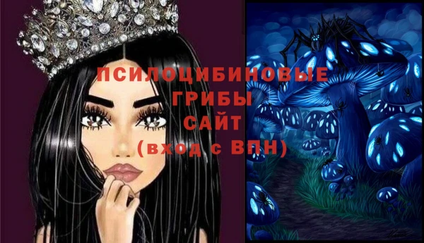 2c-b Алзамай
