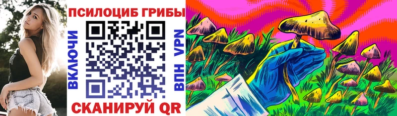 Галлюциногенные грибы Cubensis  Сочи 