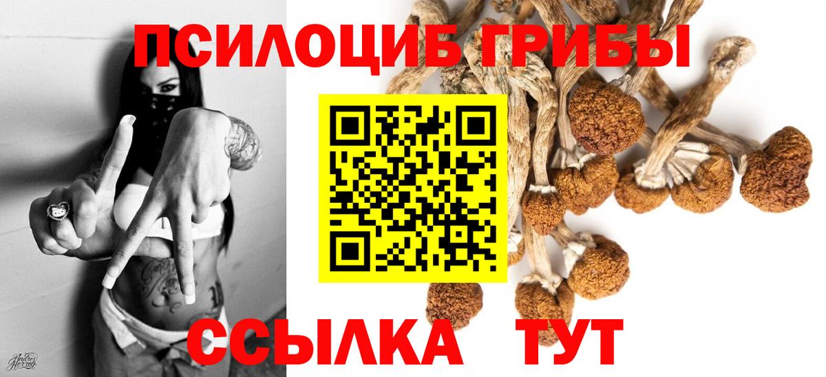 ГАШ Сочи