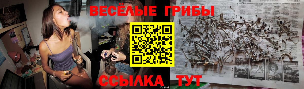 Псилоцибиновые грибы Psilocybine cubensis  закладка  Вход с VPN  Сочи  Галлюциногенные грибы Cubensis 